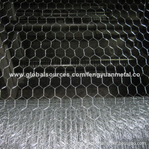 Hexagonal wire mesh, electro-galvanized/hot-dip galvanized